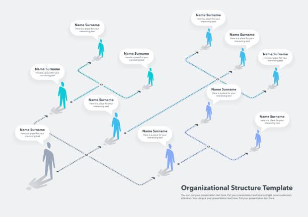 ilustrações de stock, clip art, desenhos animados e ícones de modern infographic for company organizational structure - organization chart illustrations