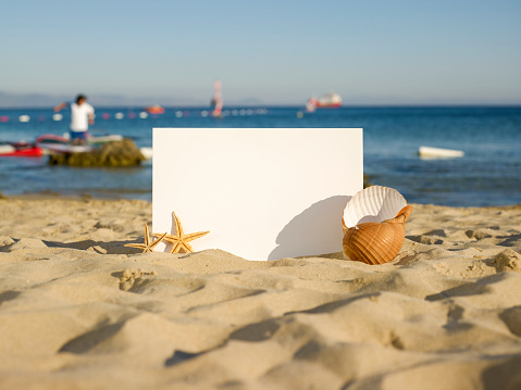 Holiday beach concept shells, sea stars and blank white board