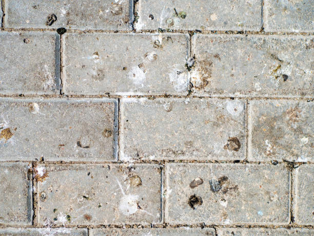 istock Abstract texture background. Lots of bird poop on paving stones. Design element 1456731799