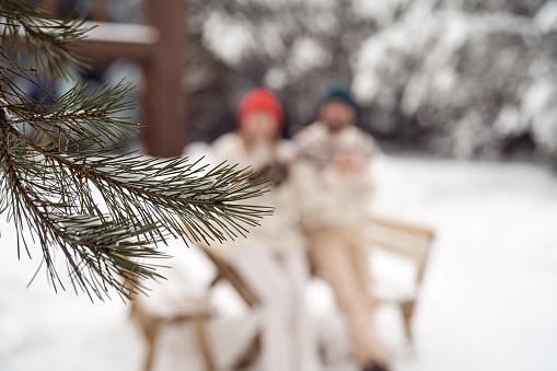 Close up of branch of tree in winter season and caucasian couple in background
