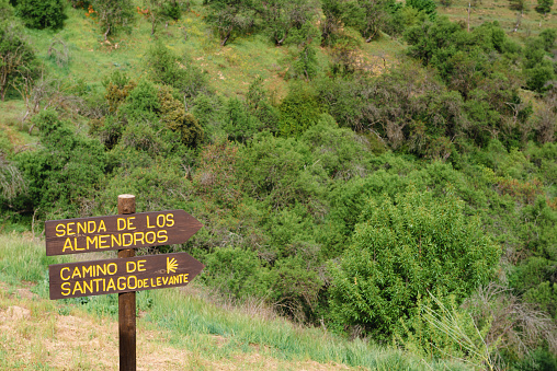 In a green natural environment, a wooden sign indicating the direction to follow on a hiking route within the Camino de Santiago itinerary can be seen.