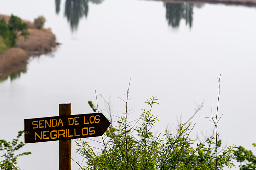 With the Duero river in the background, a wooden sign indicates the direction to follow on a nature hiking route, the route is in Castronuño, province of Valladolid-Spain.