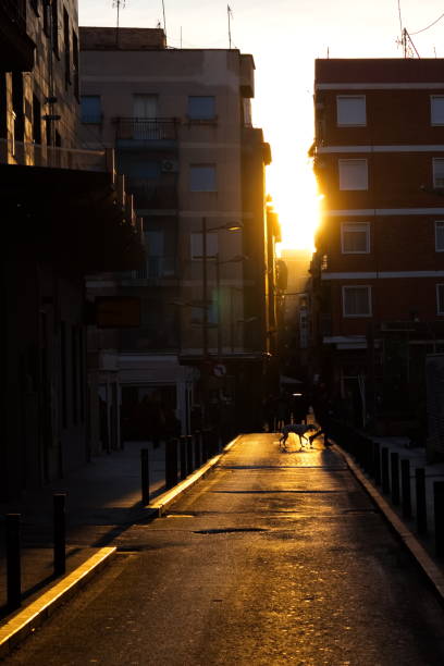 istock Spectacular sunset with the sun getting between the buildings creating beautiful lights and shadows 1456743578