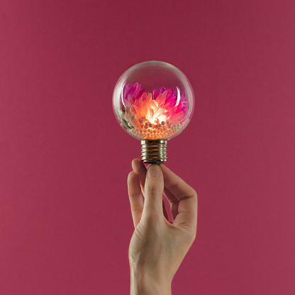 Female hand holds glowing light bulb with purple flowers inside against magenta background.