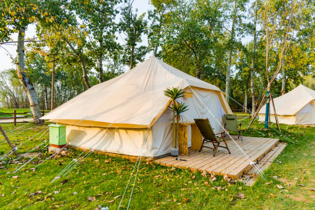 istock Tents in the camp 1456749202