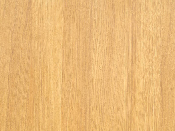 istock Wood paneling or wooden wall with natural patterns. Light brown empty background. 1456749281
