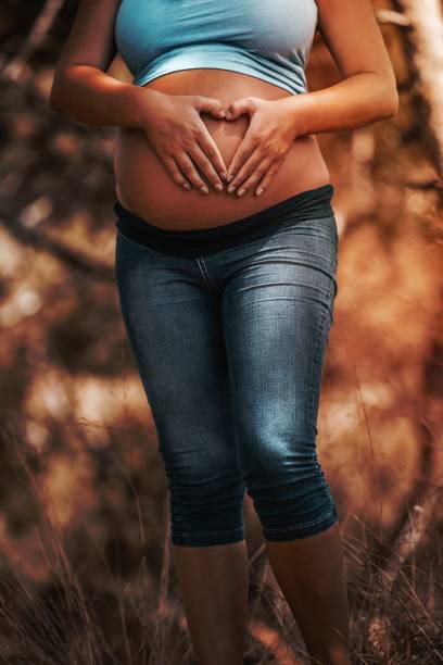 Healthy Pregnancy with Activities Outdoors Tummy of a Pregnant Woman Making Heart Shape by her Hands on it. Healthy Activities Outside. Spending Warm Autumn Day in the Park. New Life Concept. olivia mum stock pictures, royalty-free photos & images