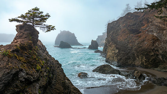 The mystical Secret Beach on the US West Coast on the US West Coast in Oregon