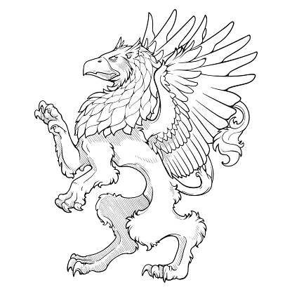 Heraldic Griffin walking on hind legs. Heraldic supporter a part of a Coat of Arms. Black line drawing isolated on white background. EPS10 vector illustration.