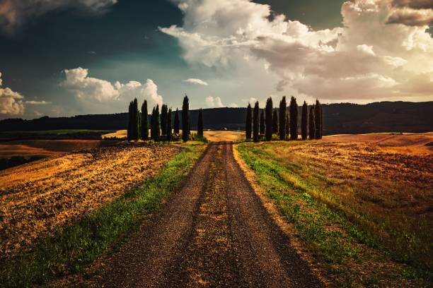 istock Beautiful landscape of Tuscany 1456753406