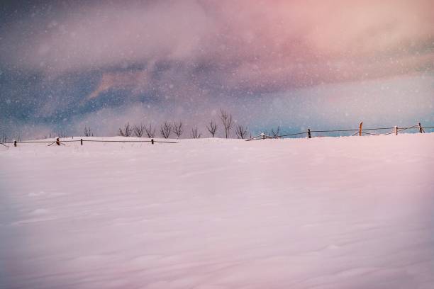 Winter Fairy Tale. Amazing Landscape of a Countryside in the Winter. Snowy Weather. Beauty and Purity of Nature.