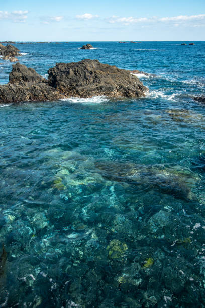 istock Beautiful view of Cape Muroto 1456759424