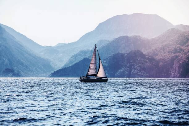 istock Beautiful sea landscape 1456759508