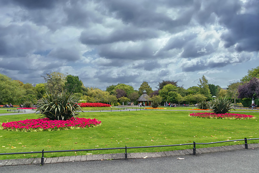 Flowerbed in st Stephen's Green in Dublin, Ireland