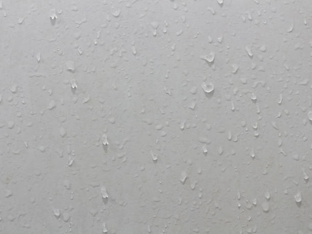 istock water stains on dirty bathroom wall 1456761105