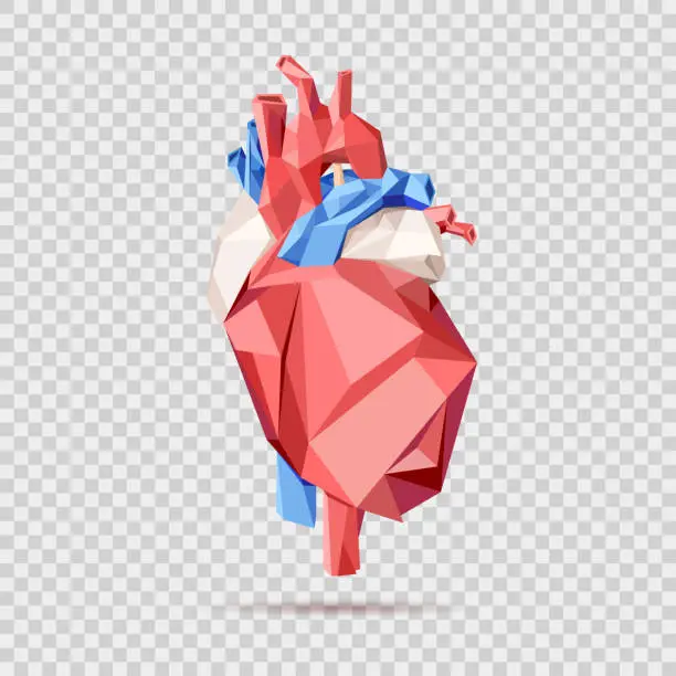 Vector illustration of Low poly style isolated anatomical heart in red, blue and white colors on the overlay checkered background.