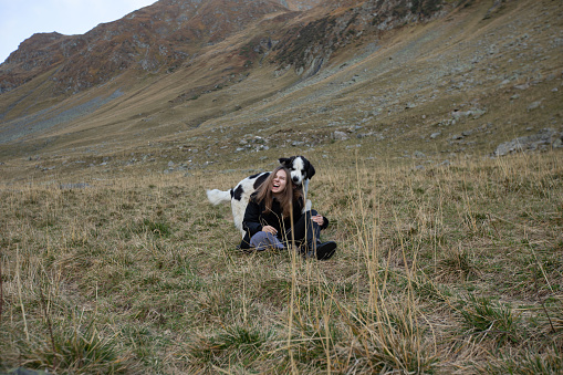 a black and white dog wants to eat a girl who is sitting on the grass in the mountains and laughing. the dog bites the girl on the neck. a woman plays with a shepherd dog in the mountains in autumn