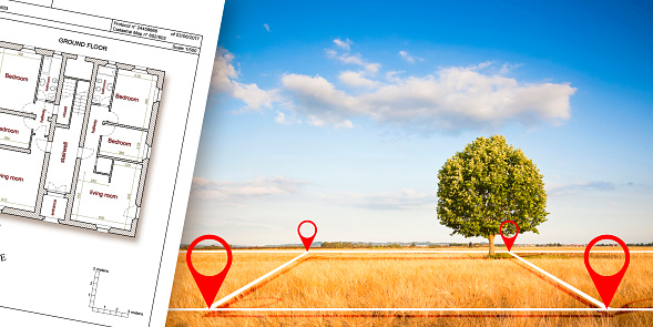Land plot management - real estate concept with a vacant land and lone tree on a wheat field available for building construction in a residential area for sale and imaginary cadastral map