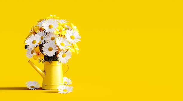 istock Beautiful spring flowers in yellow watering can on yellow background with copy space 1456769009