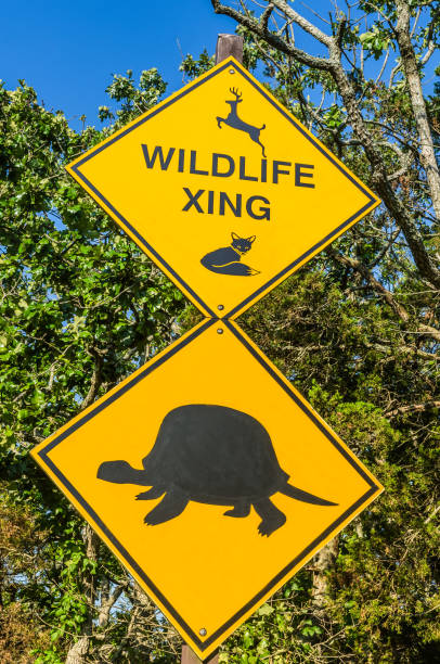 istock Yellow wildlife crossing road sign 1456770314