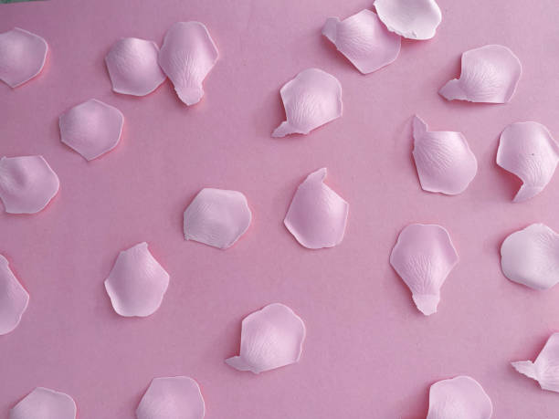 istock Pink background with rose petals 1456770783