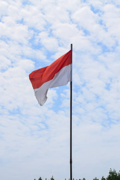 istock Indonesian Flag, Red and White 1456775222