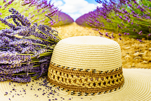 Summer hat and bouquet of natural lavender herb flowers against purple field. Attraction trip for french vacation in Provence.