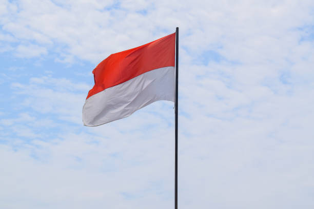 istock Indonesian Flag, Red and White 1456775385