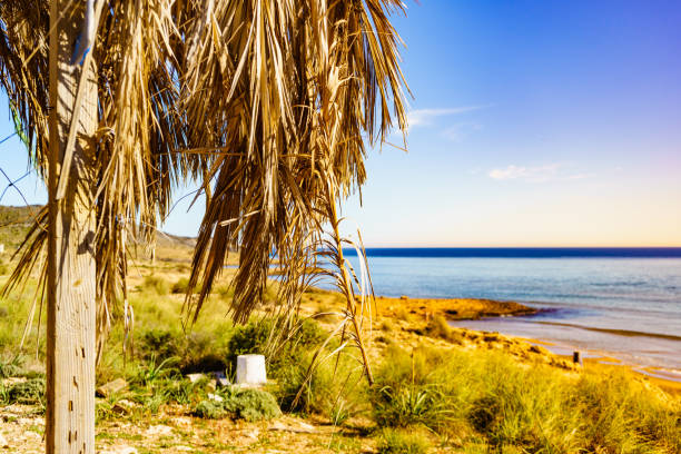 istock Beach sea shore. Coast in Murcia Spain. 1456775468