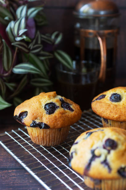 istock homemade blueberry muffins 1456778156