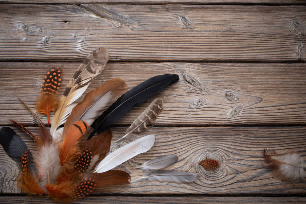 istock color feathers on old wooden background 1456778832