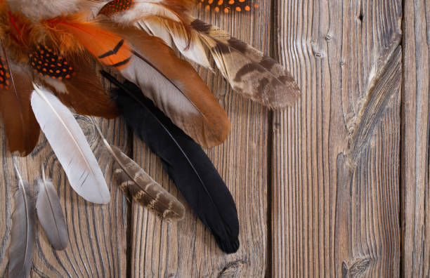 istock color feathers on old wooden background 1456778839