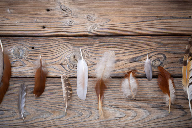 istock color feathers on old wooden background 1456778841
