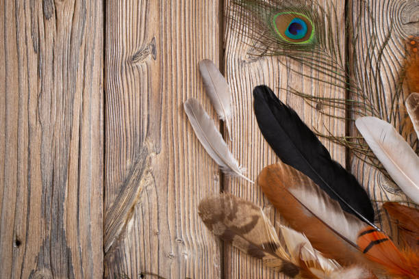 istock color feathers on old wooden background 1456778866
