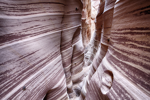 Zebra Canyon is a vivid striped and very narrow gorge. The awsome zig-zag shapes were created by water. Grand Staircase-Escalante National Monument, Utah. USA