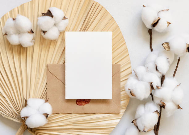 istock Blank card and envelope on dried palm leaf with cotton flowers top view, wedding mockup 1456780692