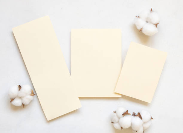 istock Blank cards with cotton flowers top view on white, wedding mockup 1456780740
