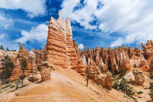 Hoodoos at Queen's Garden, Bryce Canyon National Park, Utah, USA