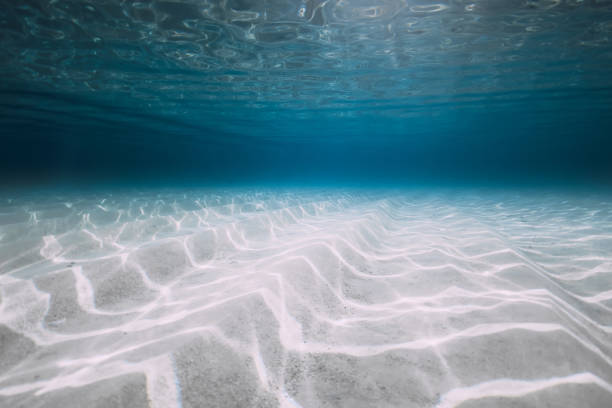 istock Underwater background in clear blue ocean with sand 1456783737