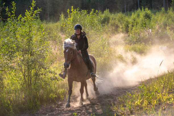 istock Woman horseback riding 1456785664