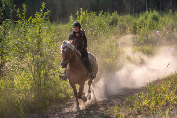 istock Woman horseback riding 1456785665