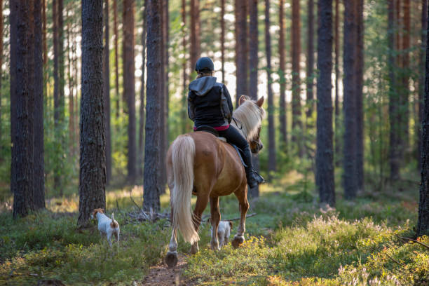 istock Woman horseback riding 1456785678