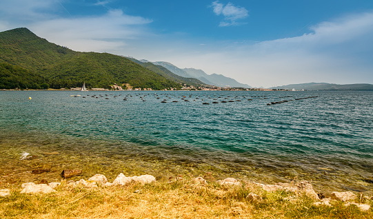 Beautiful seascape with mussel and oyster farms along the coast of the Bay of Kotor near the Josice, Montenegro