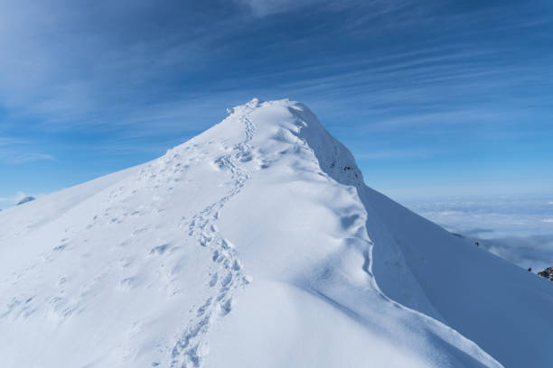 istock Sycamore Peak, Fagaras Mountains, Romania 1456789025
