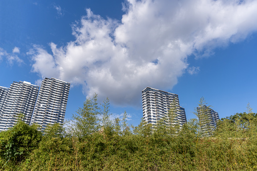 Green trees and urban buildings under the blue sky and white clouds