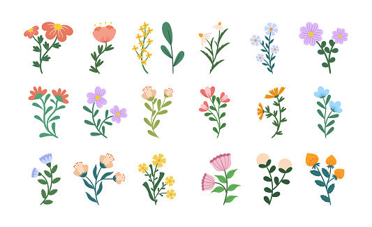 Set of Flowers, Blossom Icons. Spring and Summer Blooming Plants, Isolated Floristic Elements for Design and Decorative Compositions for Greeting Card or Invitation. Cartoon Vector Illustration