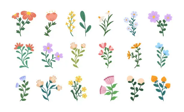 Vector illustration of Set of Flowers, Blossom Icons. Spring and Summer Blooming Plants, Isolated Floristic Elements for Design and Decor