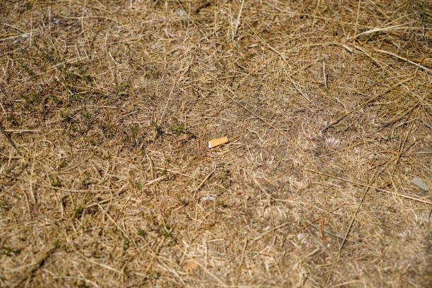 Empty soda can discarded in eroded soil and dirt. Concept of littering, environmental pollution, human impact on nature, and waste management.