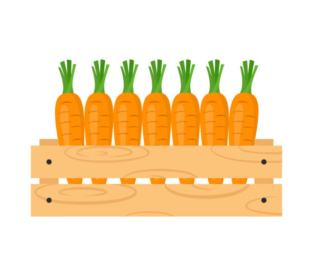 ilustraciones, imágenes clip art, dibujos animados e iconos de stock de caja de madera con cultivo de zanahorias. mercado de agricultores, verduras frescas orgánicas o tema de alimentación saludable. - borg