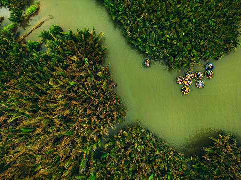 Aerial view on tourists going on colorful round boat tour on lagoon in palm forest
famous destination near Hoi An ancient, Vietnam